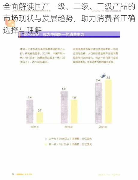 全面解读国产一级、二级、三级产品的市场现状与发展趋势，助力消费者正确选择与理解