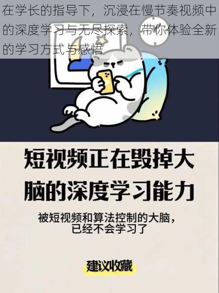 在学长的指导下，沉浸在慢节奏视频中的深度学习与无尽探索，带你体验全新的学习方式与感悟