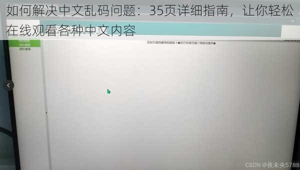 如何解决中文乱码问题：35页详细指南，让你轻松在线观看各种中文内容