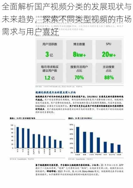 全面解析国产视频分类的发展现状与未来趋势，探索不同类型视频的市场需求与用户喜好