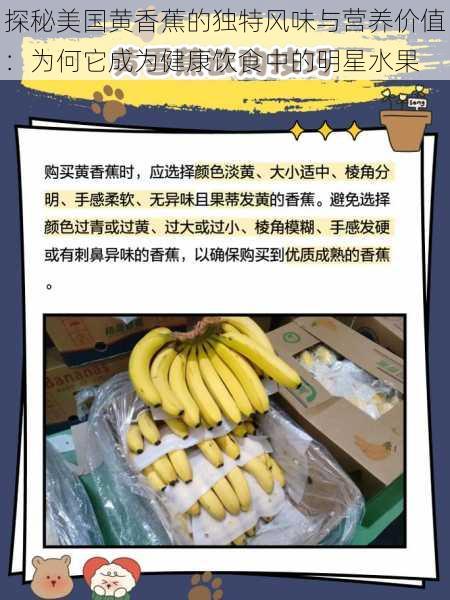 探秘美国黄香蕉的独特风味与营养价值：为何它成为健康饮食中的明星水果