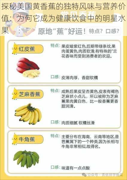 探秘美国黄香蕉的独特风味与营养价值：为何它成为健康饮食中的明星水果