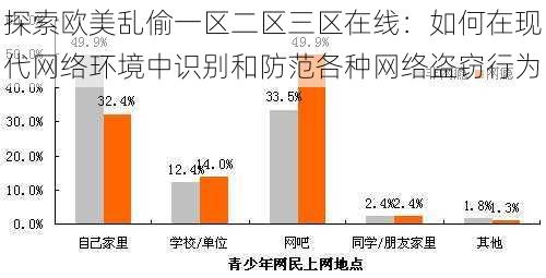 探索欧美乱偷一区二区三区在线：如何在现代网络环境中识别和防范各种网络盗窃行为