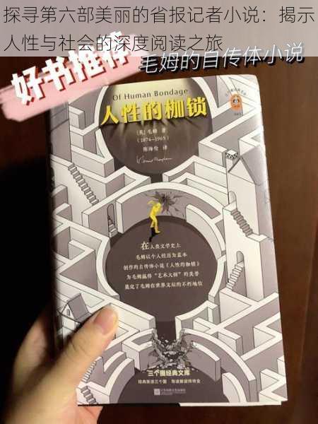 探寻第六部美丽的省报记者小说：揭示人性与社会的深度阅读之旅