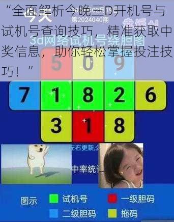 “全面解析今晚三D开机号与试机号查询技巧，精准获取中奖信息，助你轻松掌握投注技巧！”