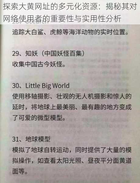 探索大黄网址的多元化资源：揭秘其对网络使用者的重要性与实用性分析