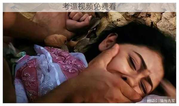 考逼视频免费看