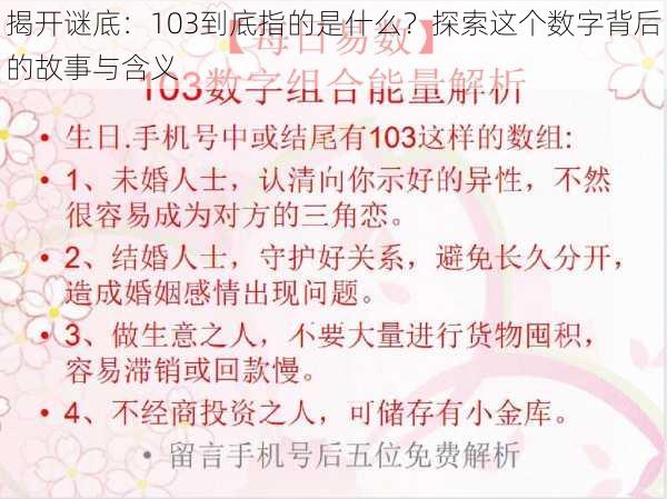 揭开谜底:103到底指的是什么?探索这个数字背后的故事与含义