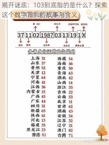 揭开谜底:103到底指的是什么?探索这个数字背后的故事与含义