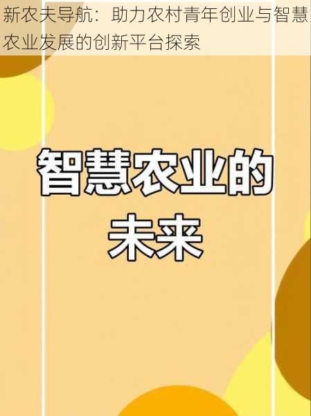 新农夫导航:助力农村青年创业与智慧农业发展的创新平台探索