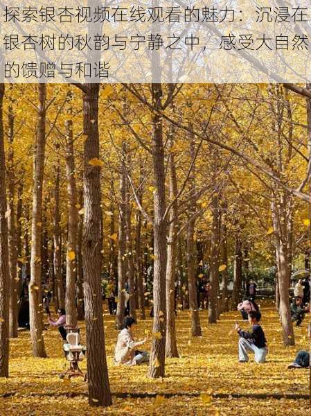 探索银杏视频在线观看的魅力:沉浸在银杏树的秋韵与宁静之中,感受大自然的馈赠与和谐