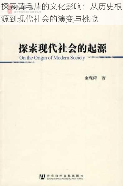 探索黄毛片的文化影响:从历史根源到现代社会的演变与挑战