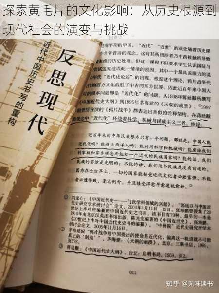 探索黄毛片的文化影响:从历史根源到现代社会的演变与挑战