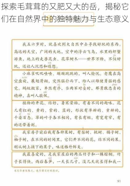 探索毛茸茸的又肥又大的岳,揭秘它们在自然界中的独特魅力与生态意义