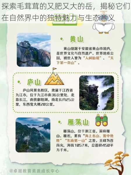 探索毛茸茸的又肥又大的岳,揭秘它们在自然界中的独特魅力与生态意义