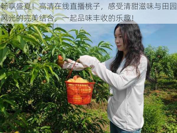 畅享盛夏！高清在线直播桃子，感受清甜滋味与田园风光的完美结合，一起品味丰收的乐趣！