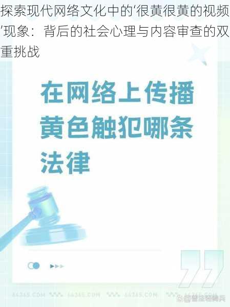 探索现代网络文化中的‘很黄很黄的视频’现象:背后的社会心理与内容审查的双重挑战