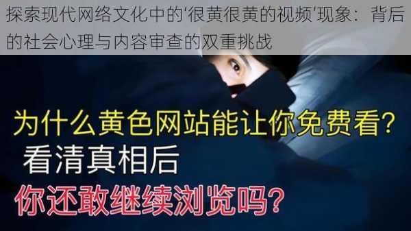 探索现代网络文化中的‘很黄很黄的视频’现象:背后的社会心理与内容审查的双重挑战