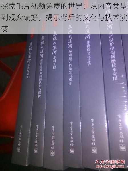 探索毛片视频免费的世界：从内容类型到观众偏好，揭示背后的文化与技术演变