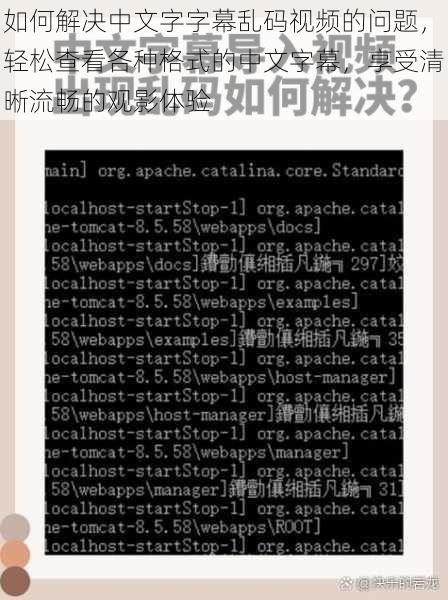 如何解决中文字字幕乱码视频的问题，轻松查看各种格式的中文字幕，享受清晰流畅的观影体验