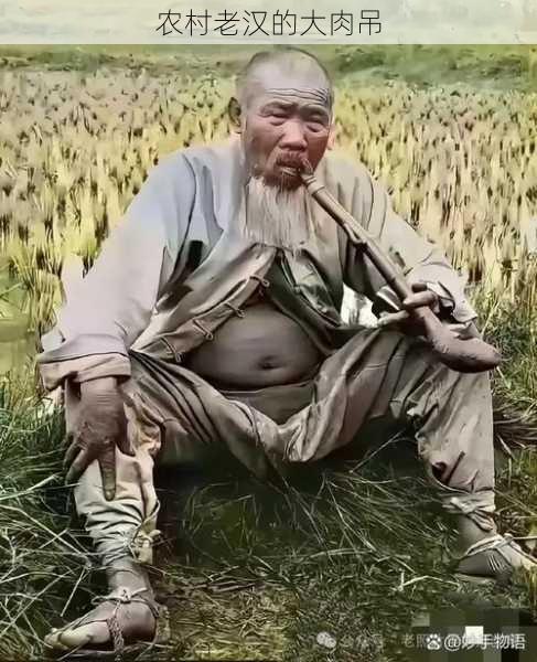 农村老汉的大肉吊