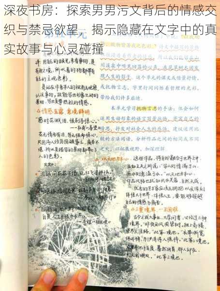 深夜书房:探索男男污文背后的情感交织与禁忌欲望,揭示隐藏在文字中的真实故事与心灵碰撞