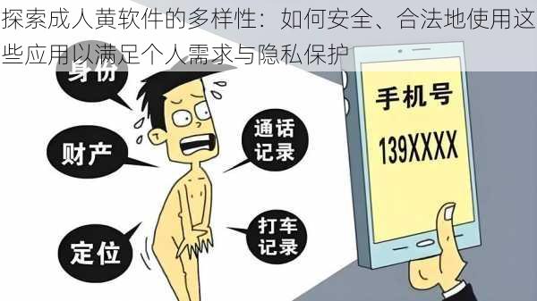探索成人黄软件的多样性:如何安全、合法地使用这些应用以满足个人需求与隐私保护