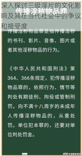深入探讨三级淫片的文化影响及其在当代社会中的争议和接受度