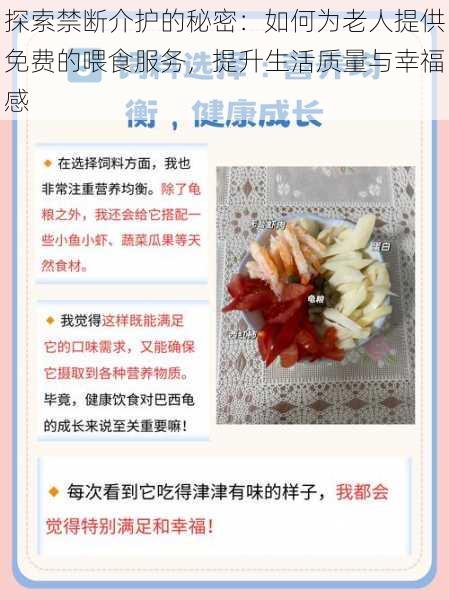 探索禁断介护的秘密:如何为老人提供免费的喂食服务,提升生活质量与幸福感