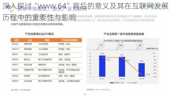 深入探讨“www.64”背后的意义及其在互联网发展历程中的重要性与影响