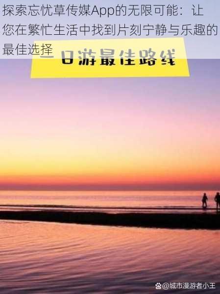 探索忘忧草传媒App的无限可能：让您在繁忙生活中找到片刻宁静与乐趣的最佳选择