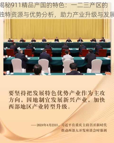 揭秘911精品产国的特色:一二三产区的独特资源与优势分析,助力产业升级与发展