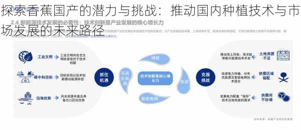 探索香蕉国产的潜力与挑战:推动国内种植技术与市场发展的未来路径