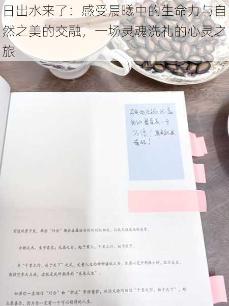 日出水来了:感受晨曦中的生命力与自然之美的交融,一场灵魂洗礼的心灵之旅