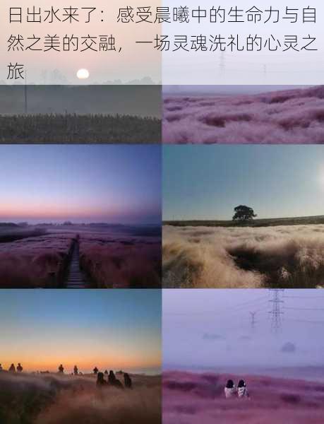 日出水来了:感受晨曦中的生命力与自然之美的交融,一场灵魂洗礼的心灵之旅