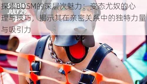探索BDSM的深层次魅力:变态尤奴的心理与技巧,揭示其在亲密关系中的独特力量与吸引力