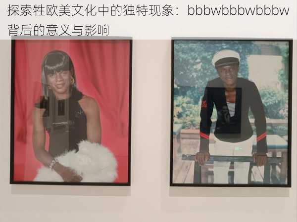 探索牲欧美文化中的独特现象:bbbwbbbwbbbw背后的意义与影响