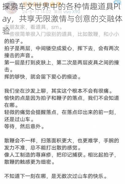 探索车文世界中的各种情趣道具Play,共享无限激情与创意的交融体验