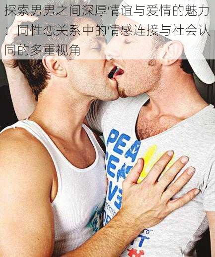 探索男男之间深厚情谊与爱情的魅力:同性恋关系中的情感连接与社会认同的多重视角