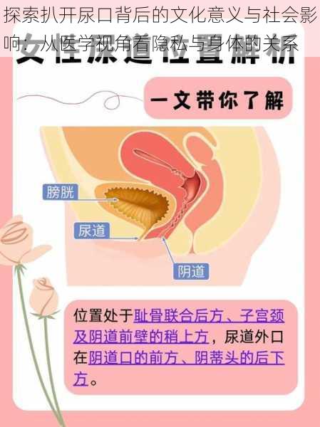 探索扒开尿口背后的文化意义与社会影响：从医学视角看隐私与身体的关系