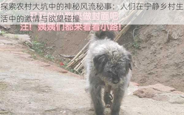 探索农村大坑中的神秘风流秘事：人们在宁静乡村生活中的激情与欲望碰撞