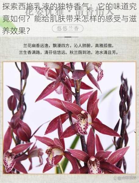 探索西施乳液的独特香气:它的味道究竟如何?能给肌肤带来怎样的感受与滋养效果?