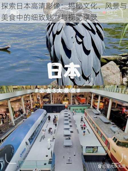 探索日本高清影像:揭秘文化、风景与美食中的细致魅力与视觉享受