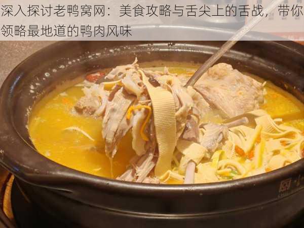 深入探讨老鸭窝网:美食攻略与舌尖上的舌战,带你领略最地道的鸭肉风味