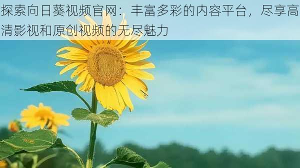 探索向日葵视频官网:丰富多彩的内容平台,尽享高清影视和原创视频的无尽魅力