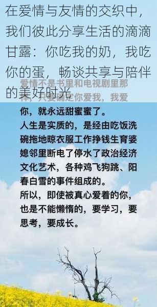 在爱情与友情的交织中,我们彼此分享生活的滴滴甘露:你吃我的奶,我吃你的蛋,畅谈共享与陪伴的美好时光