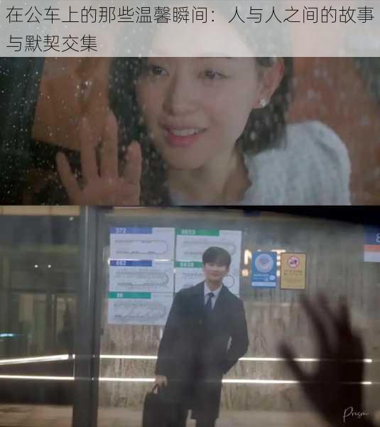 在公车上的那些温馨瞬间:人与人之间的故事与默契交集