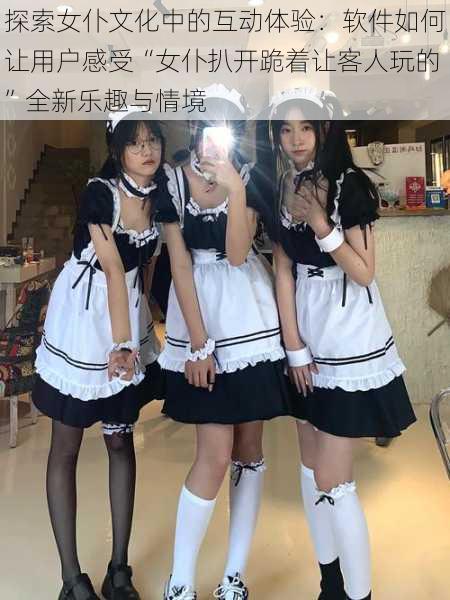 探索女仆文化中的互动体验:软件如何让用户感受“女仆扒开跪着让客人玩的”全新乐趣与情境
