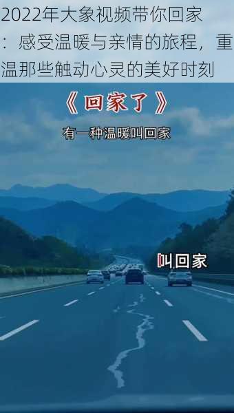 2022年大象视频带你回家:感受温暖与亲情的旅程,重温那些触动心灵的美好时刻