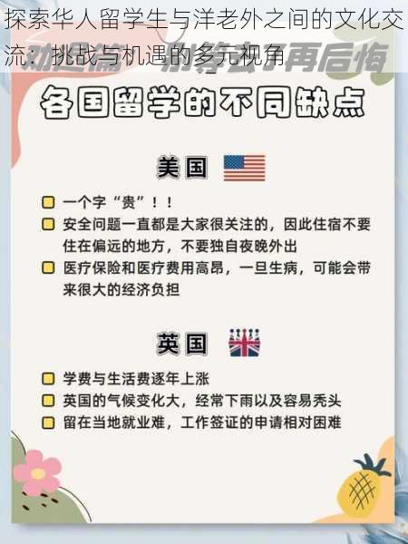 探索华人留学生与洋老外之间的文化交流：挑战与机遇的多元视角